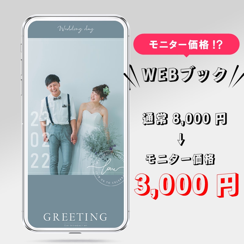 限定：結婚式用WEBプロフィールブックを制作します （モニター限定）8,000円 → 3,000円 イメージ1