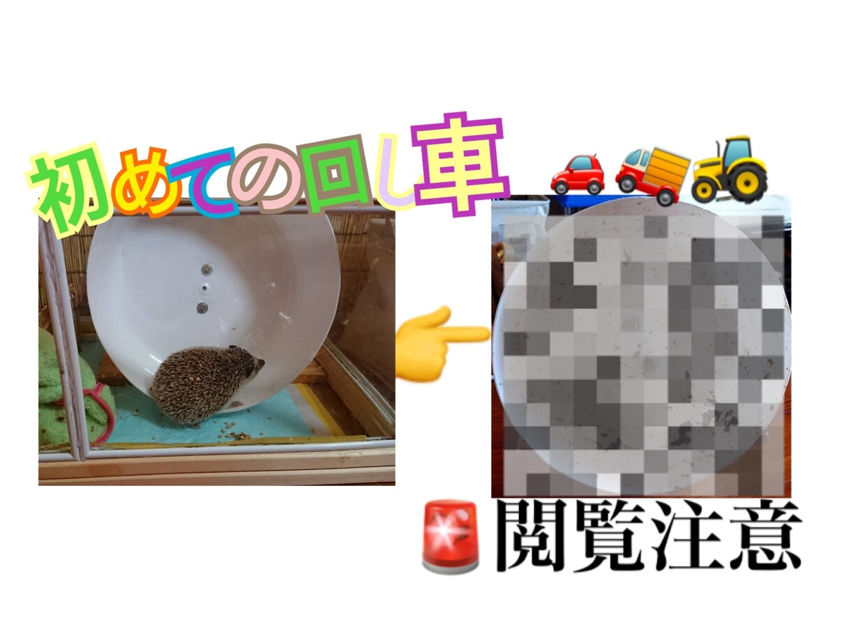 増税の為1000円で動画編集致します 格安でサムネ＋動画編集致します。まずは相談からどうぞ ♪♪ イメージ4