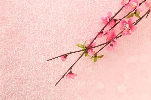受験に向けて、受験後のアドバイスをいたします ・これから受験、または受験を終えたお子様がいらっしゃる方 イメージ1