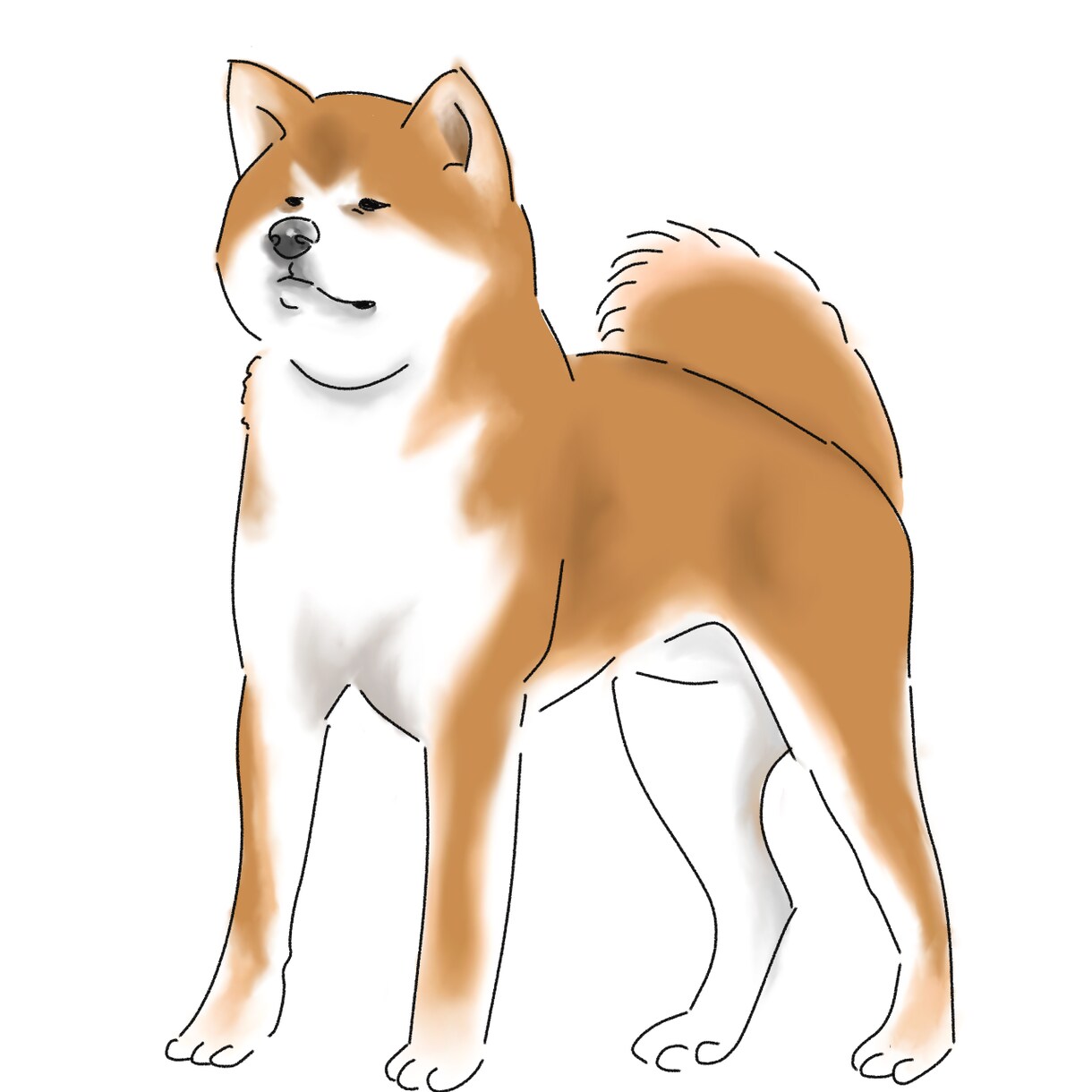 写真からペットの似顔絵かきます 心を込めて描きます！1時間〜２時間くらいで仕上がります。 イメージ3