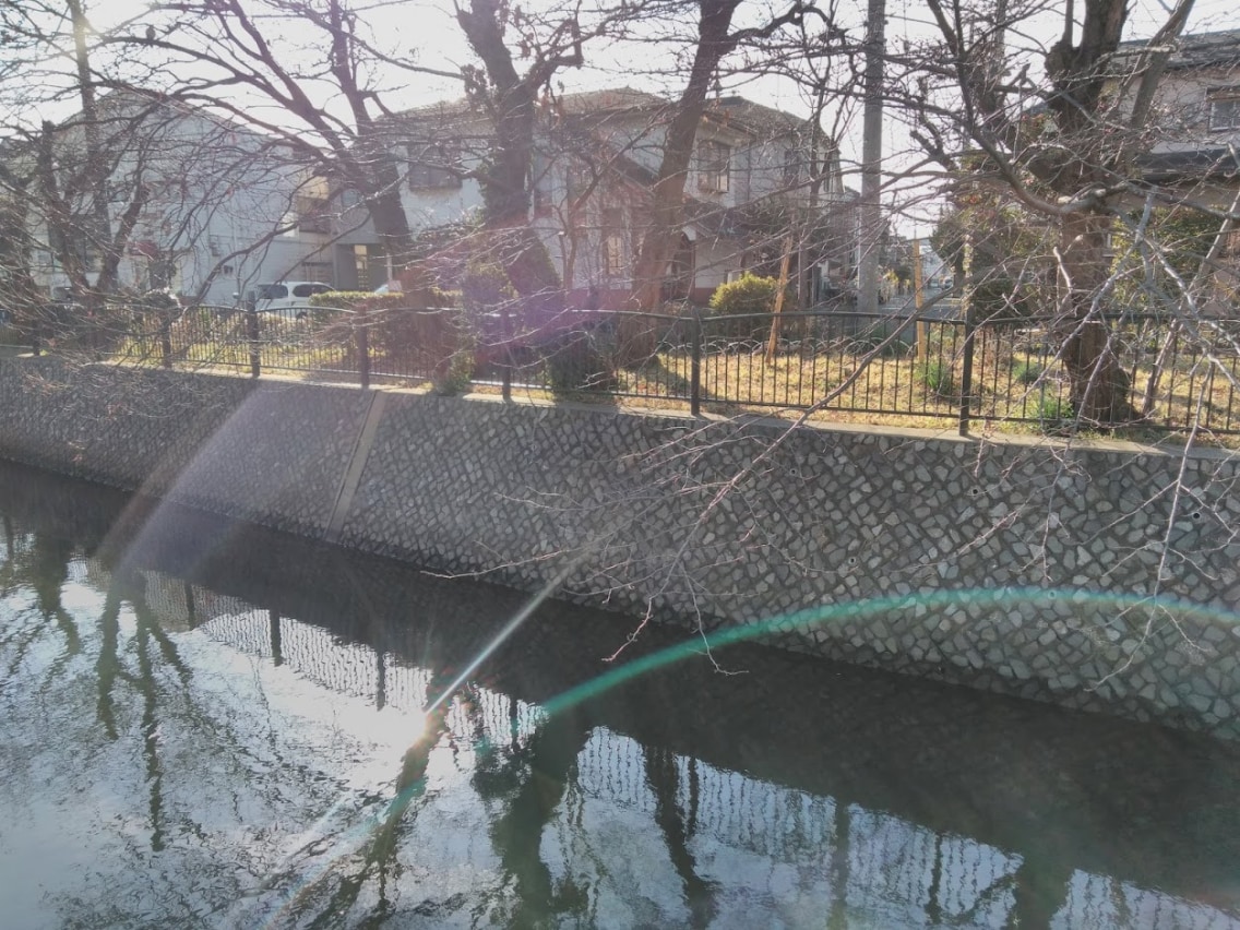 仕事の悩みから解放され、望む未来を引き寄せます タロットからのメッセージを現実に活かせるよう具体的に伝えます イメージ6