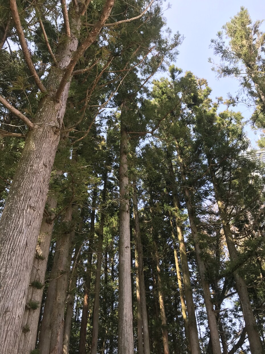 検討します 真面目に親身になってお話聞きます イメージ2