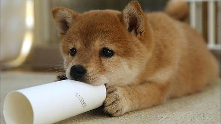 電話で話そ♪どんなお話も聞きます 愚痴、悩み、相談、雑談何でもokです♪話して楽になりましょう イメージ6