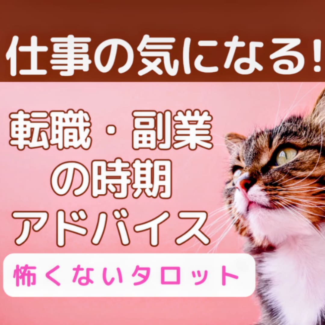 タロットで仕事！転職 継続 時期★迷いに答えます 給料待遇 やりがい！あなたの望みは？副業に悩む主婦さん歓迎 イメージ1