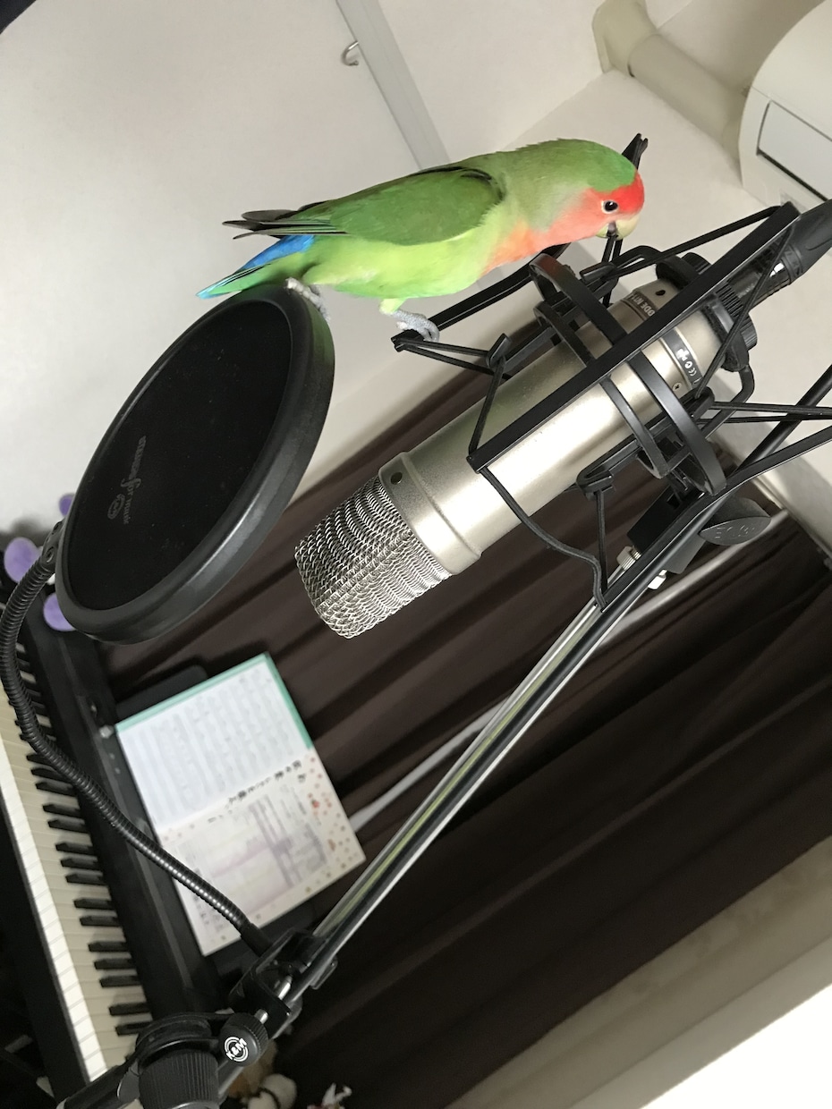 作詞作曲、編曲、歌入れ。最後の最後まで制作致します TV、CM楽曲多数提供実績有り。安心のクオリティをお届け♪ イメージ1