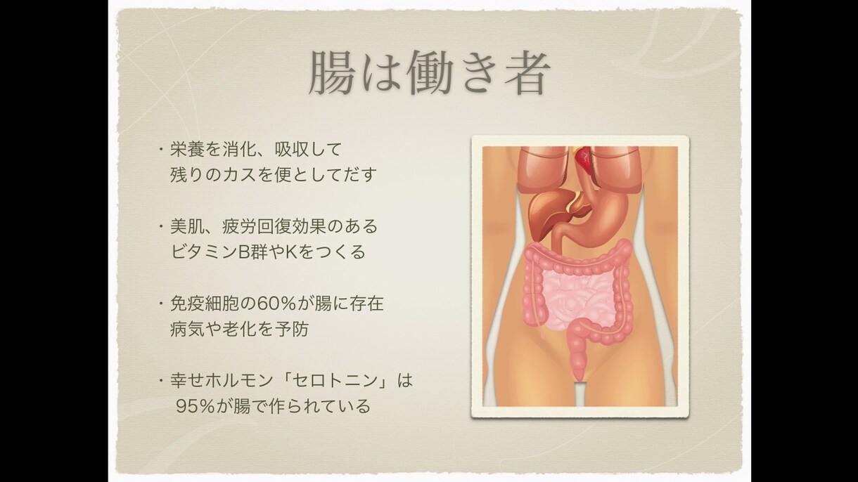 女性限定⭐︎腸内タイプ診断！腸のお悩みお答えします お腹に関する様々なお悩みに☆腸内タイプ診断でまずは知ろう♪ イメージ2