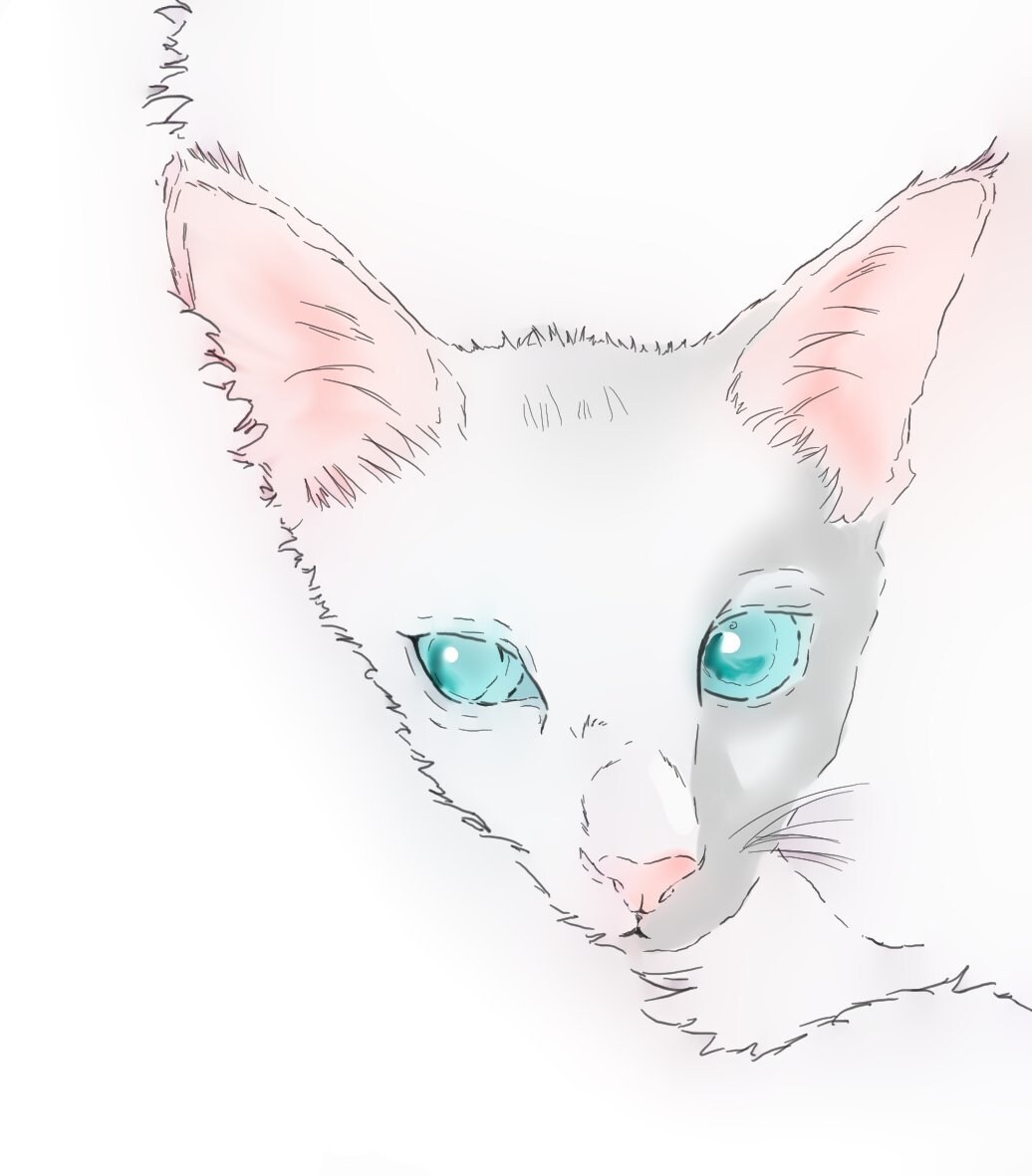 大切な写真をイラストにします 大切な人やペットの写真を温かみのあるイラストにします イメージ4