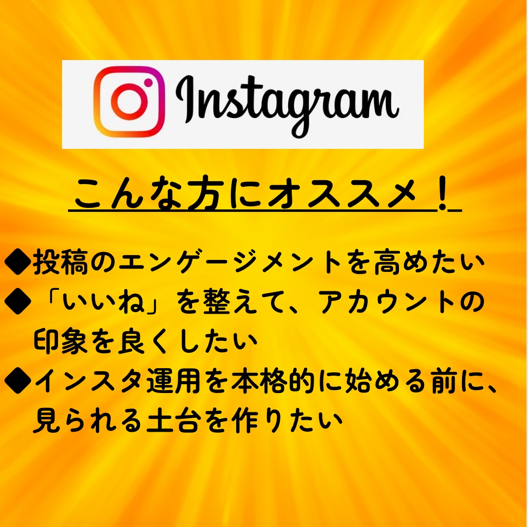 インスタに日本人から500いいねを拡散支援します 初回特典付★性別指定可★匿名評価★振分可★安い イメージ5