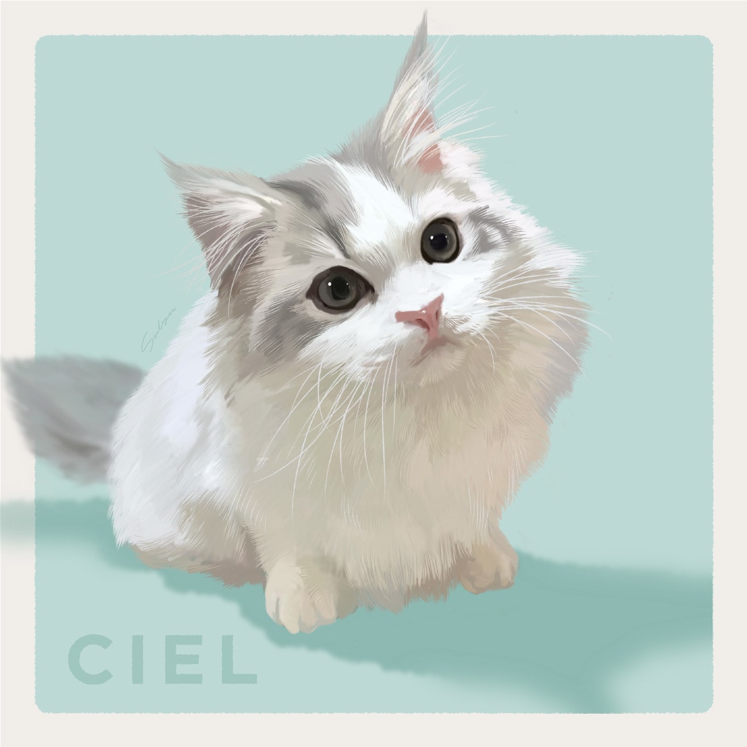あなたのおうちのかわいいペットをイラストにします イラストをキャンバスやポスターにすることもできます！ イメージ2