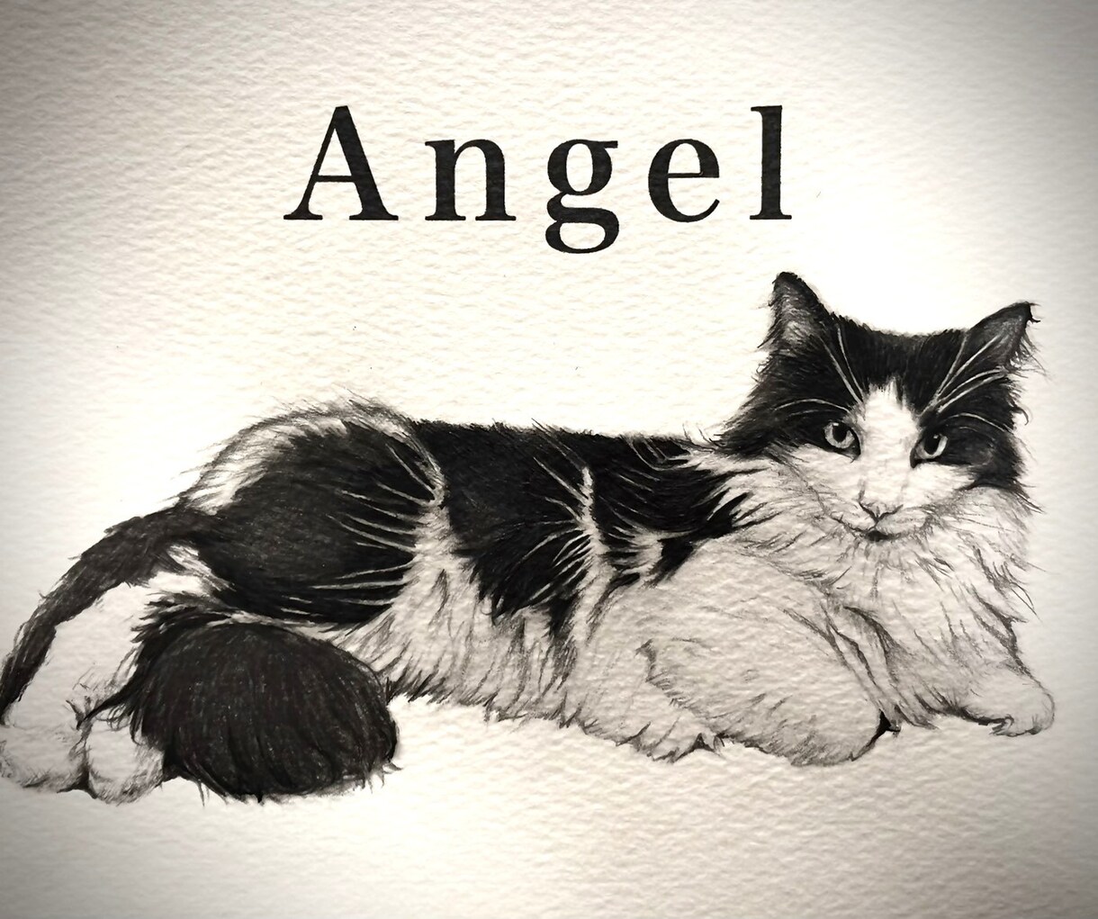 犬•猫•ペットの似顔絵を鉛筆画で丁寧に描きます 小動物〜爬虫類ちゃんのイラストもOK イメージ2