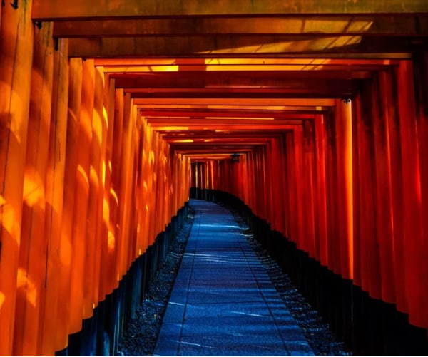 巫女⛩があの人の『裏本音⚠️』秘めた想いを伝えます ☯本当は何考えてるの⁉️禁断の心理に潜入㊙️千里眼と巫女札 イメージ9
