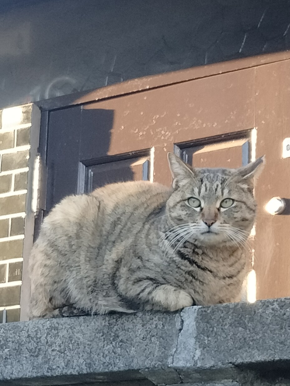 介護のしごとの悩み、お話聴きます ご一緒に介護の働き方についてお話しませんか？ イメージ2
