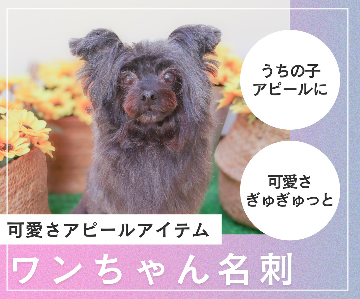 セミオーダー◎【ワンちゃん名刺】作成いたします 100枚セット◎うちの子をアピールするイチオシアイテム！ イメージ1