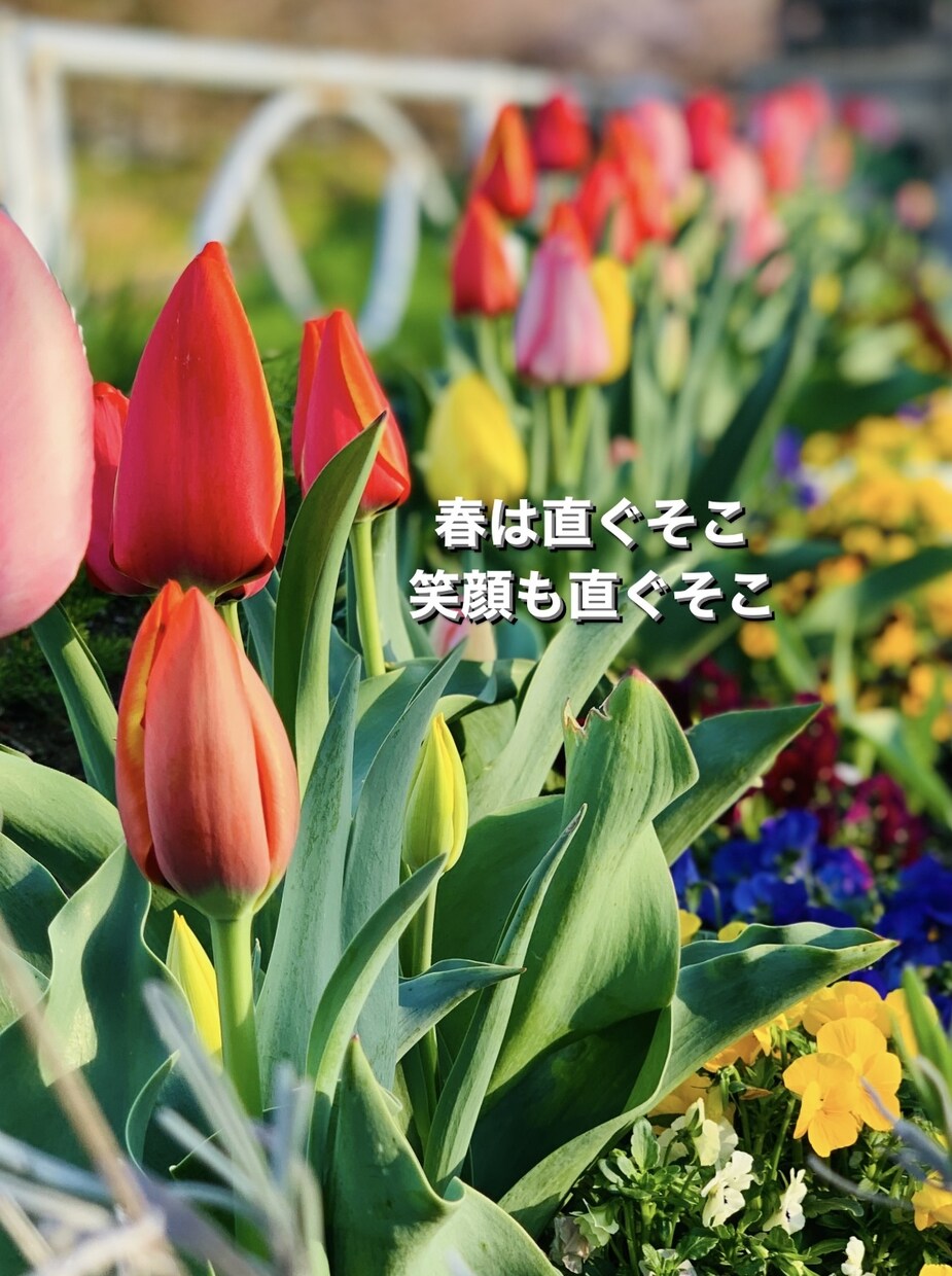 心のまど♡はとや♡愚痴聞き 笑顔で心のまど開きます ーあなたとの電話で心のまど♡パッと開きましょう♡愚痴聞きます イメージ7