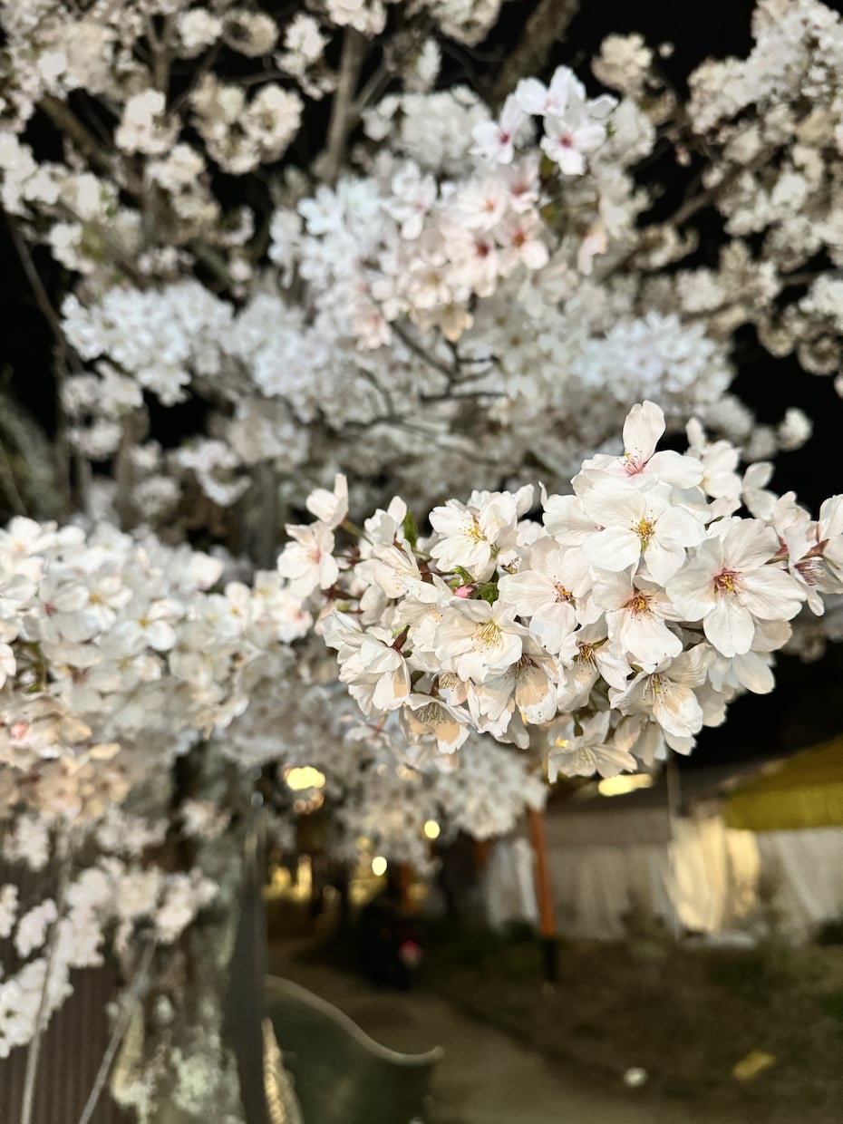 お相手さまのお気持ち、ご状況お伝えします 唯一無二の鑑定を受けてみませんか？ イメージ3