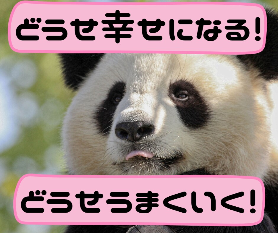 あなたが主役の時間です♪気軽で親身な友達になります 雑談/推し/趣味/５分でもいいよ/癒し/笑って/リラックス イメージ10