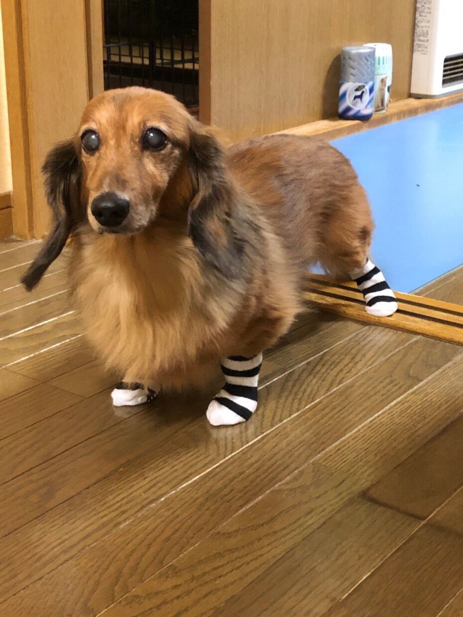 楽しいばかりではない人生❕辛い事もたくさんあります 楽しい時辛い時少しでも話を聞いて貰いたい時٩( ╹▿╹ )۶ イメージ3