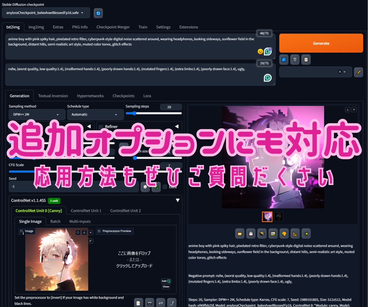 Stable Diffusionの使い方を教えます コレさえあれば完璧！主要項目4セットパッケージのお届け！ イメージ4