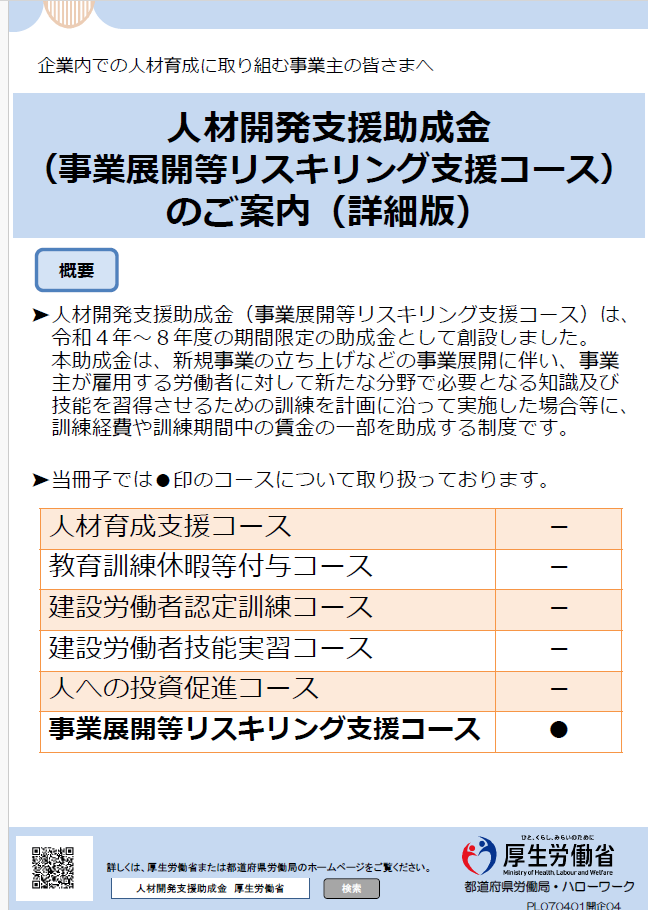 法人｜人材開発支援助成金（DX研修）精密診断します 人材開発支援助成金「事業展開等リスキリング支援コース」専用 イメージ1