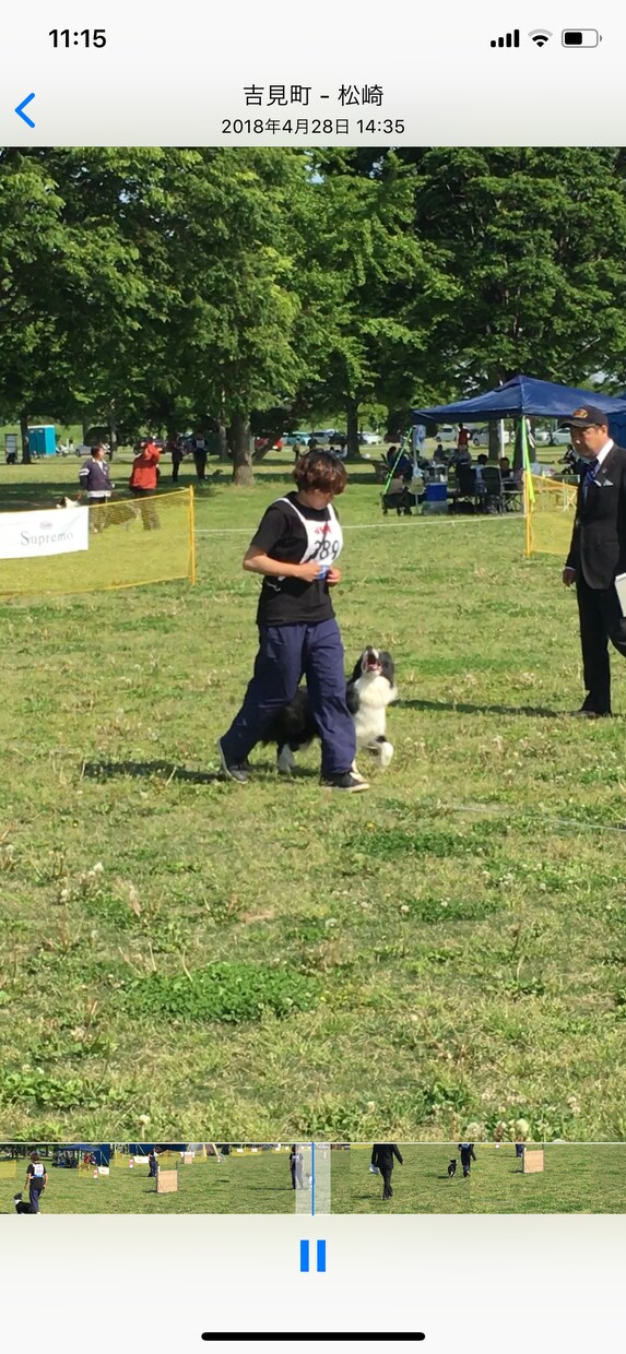 わんちゃんを飼われている方のご相談受け付けてます 犬のお世話でお困りの方、解決できるようアドバイスをしています イメージ1