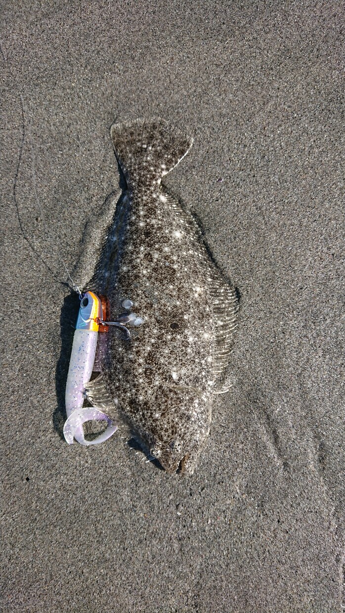 釣りを始めたい初心者の方ご相談に乗ります 竿や小道具、バックまで予算等の要望通り幅広く紹介致します！ イメージ1