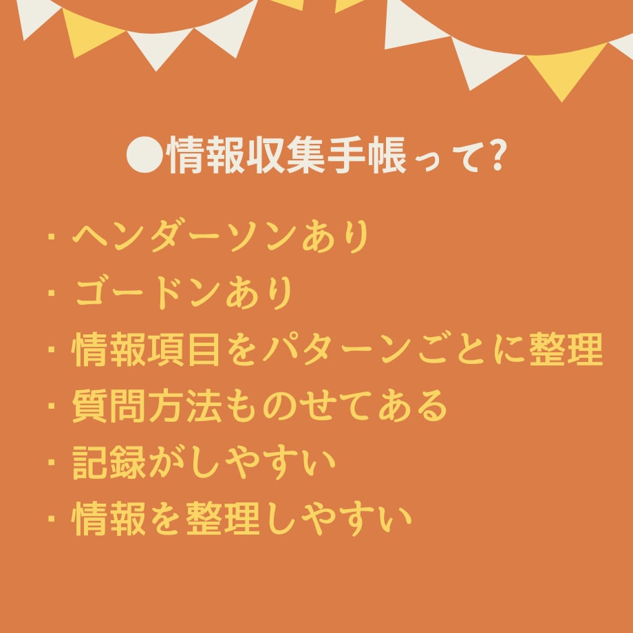 看護実習記録集★アセスメントのテンプレ教えます 超絶安心！看護実習【まるごと】パック★実習記録事例、報告、等 イメージ3