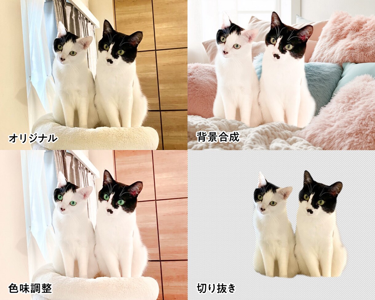 写真加工・切り抜き・画像のレタッチ承ります 背景透過/白抜き/切り抜き/合成/なんでもご相談ください！ イメージ3