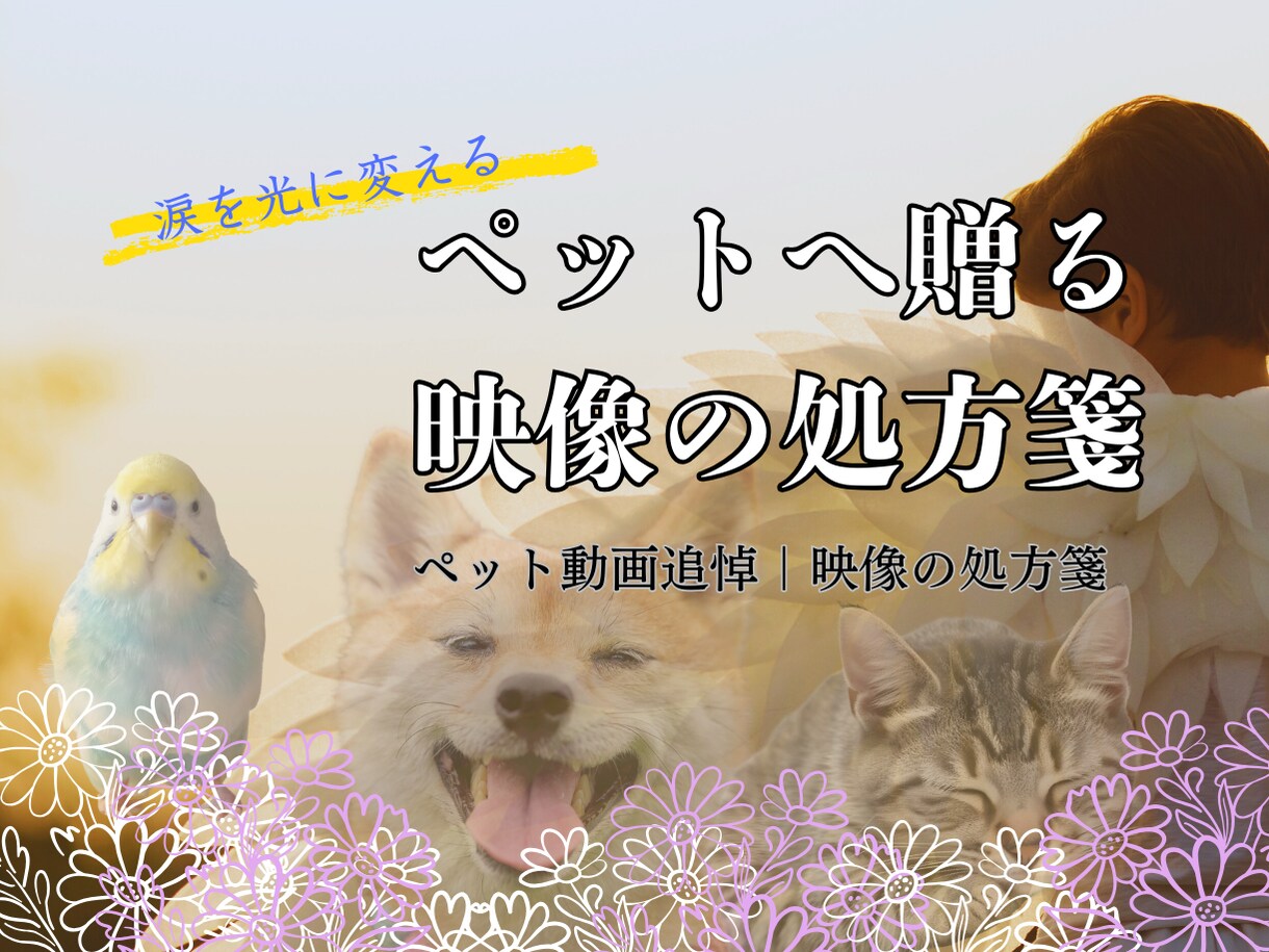 涙を光に変えるペットメモリアル動画を制作します グリーフケア専門家が贈る、世界にひとつの映像の処方箋 イメージ1