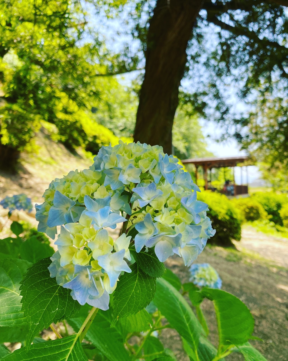 霊感⭐︎幸せに導く寄り添い【本格鑑定】します 占いながら波動修正でサポートします イメージ7