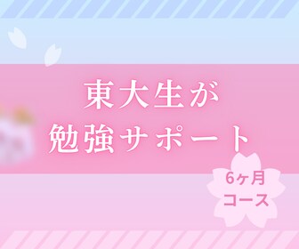 割引の継続プラン！東大が勉強を徹底サポートします 【3ヶ月目以降の継続割引】学習計画を徹底サポート イメージ1