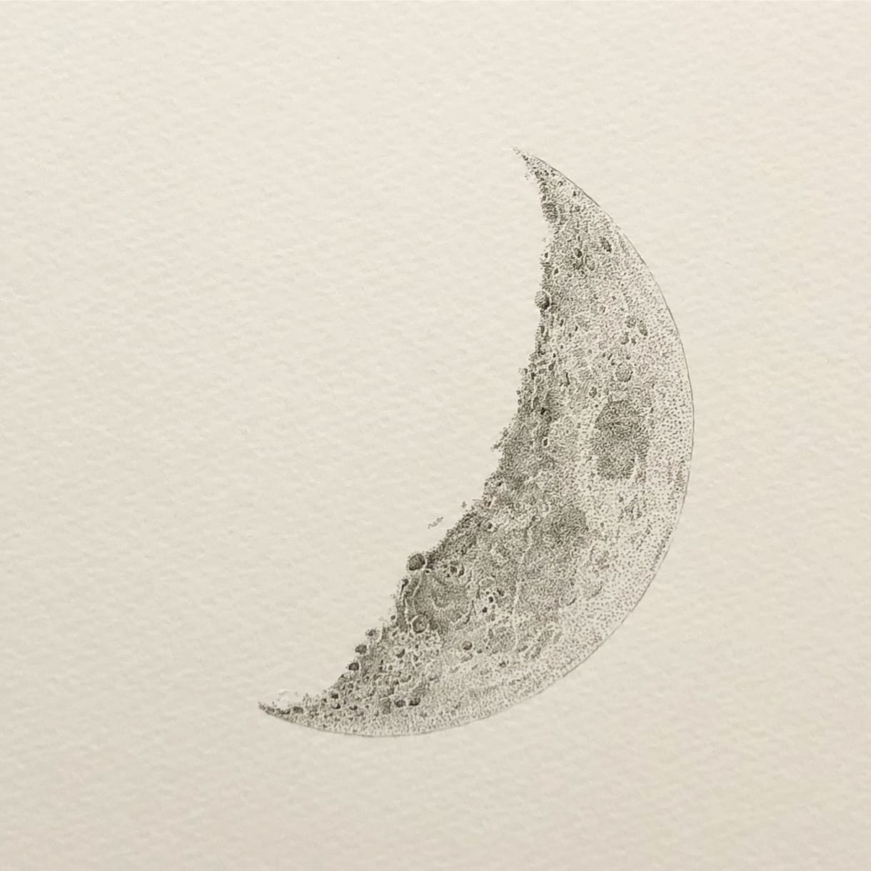 ペン画による繊細なモノクロのイラストを制作します 人、動物、植物、風景、物・・・あなたの大切を一枚の絵に。 イメージ10