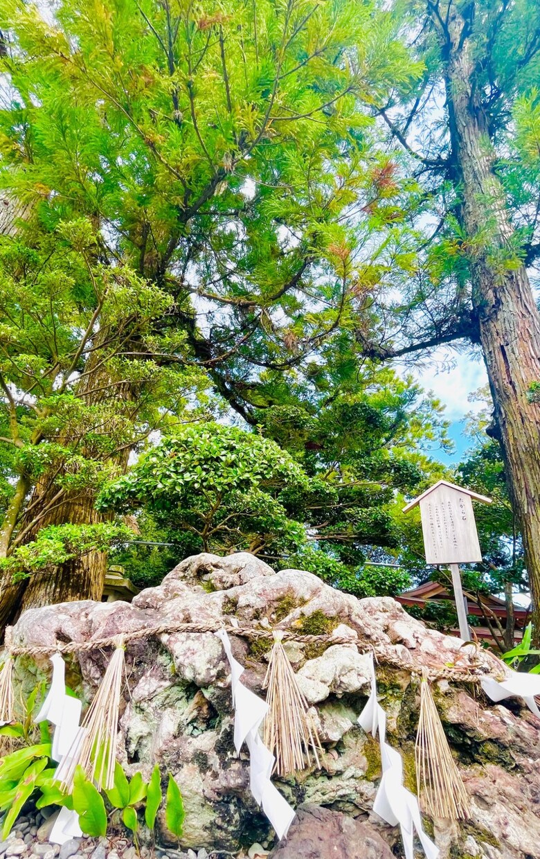 インナーチャイルドセラピー✨辛い心を癒します 気軽になんでもお悩み相談してください✨ イメージ1