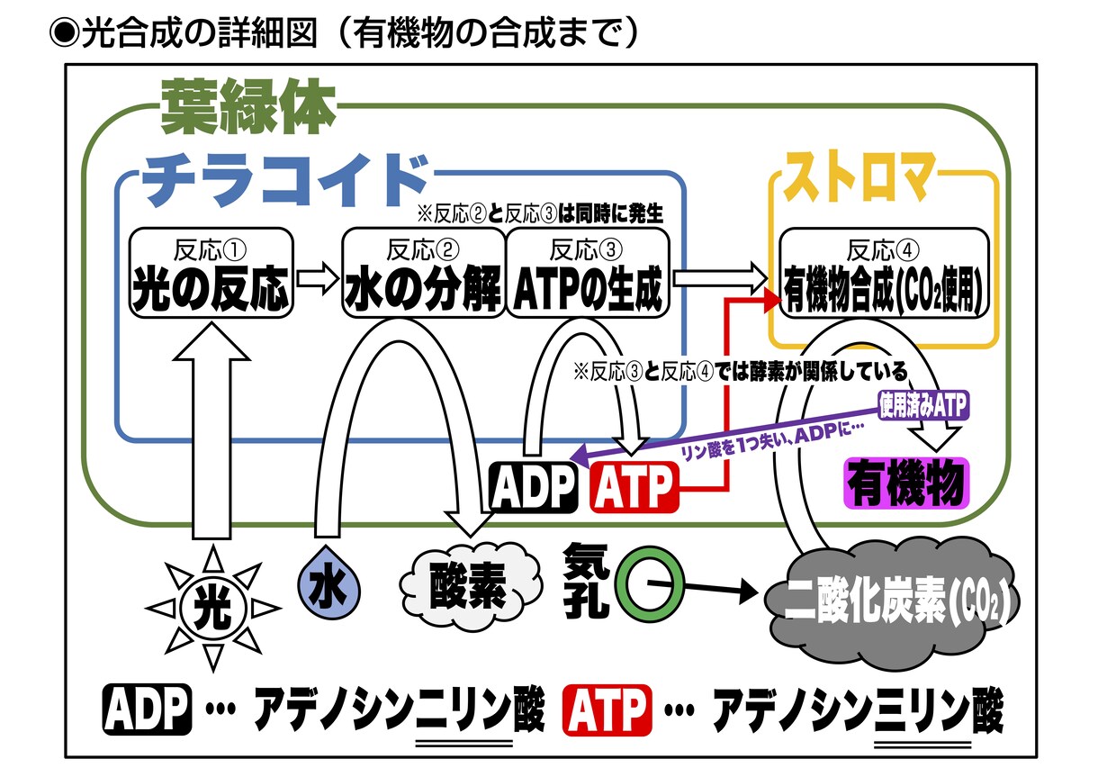 最短翌日可｜紙資料･手書き資料などから文書作ります どんな文書でもかまいません！！ イメージ7
