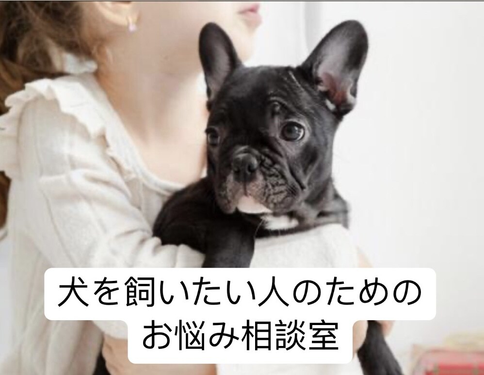 これから犬を飼う人必見！犬を飼う前の相談乗ります あなたにマッチングするわんちゃんのアドバイスをします！ イメージ1