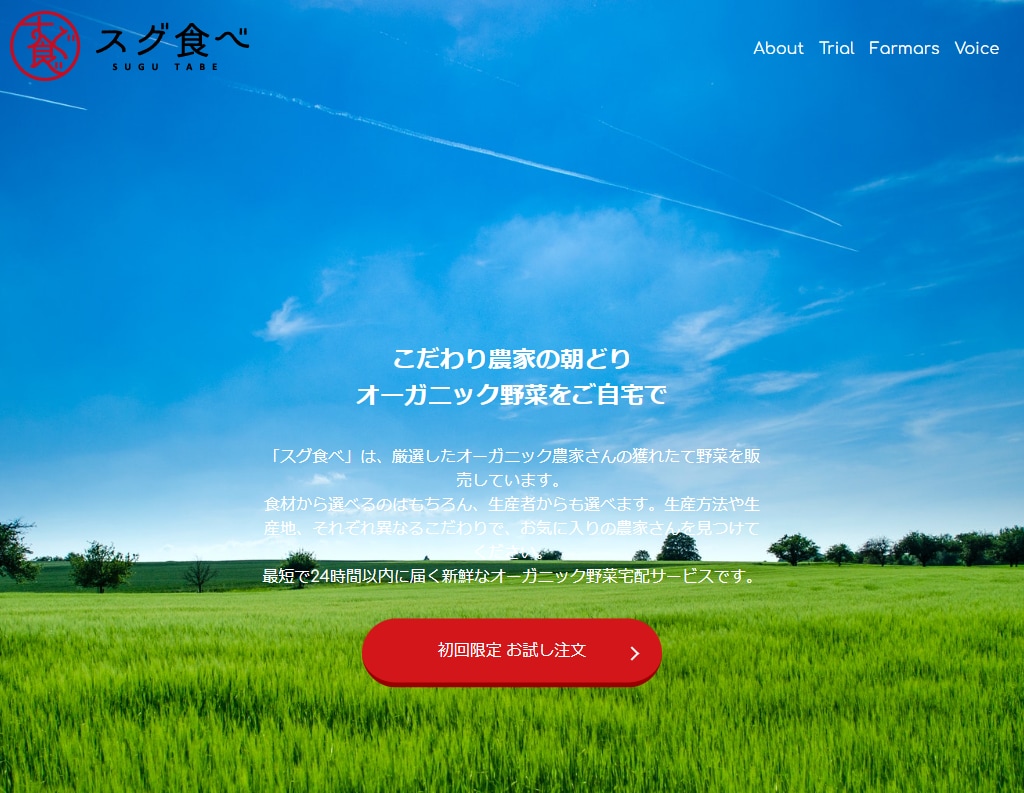WixでLP・HPを制作致します おしゃれで集客できるwebページを制作致します イメージ5