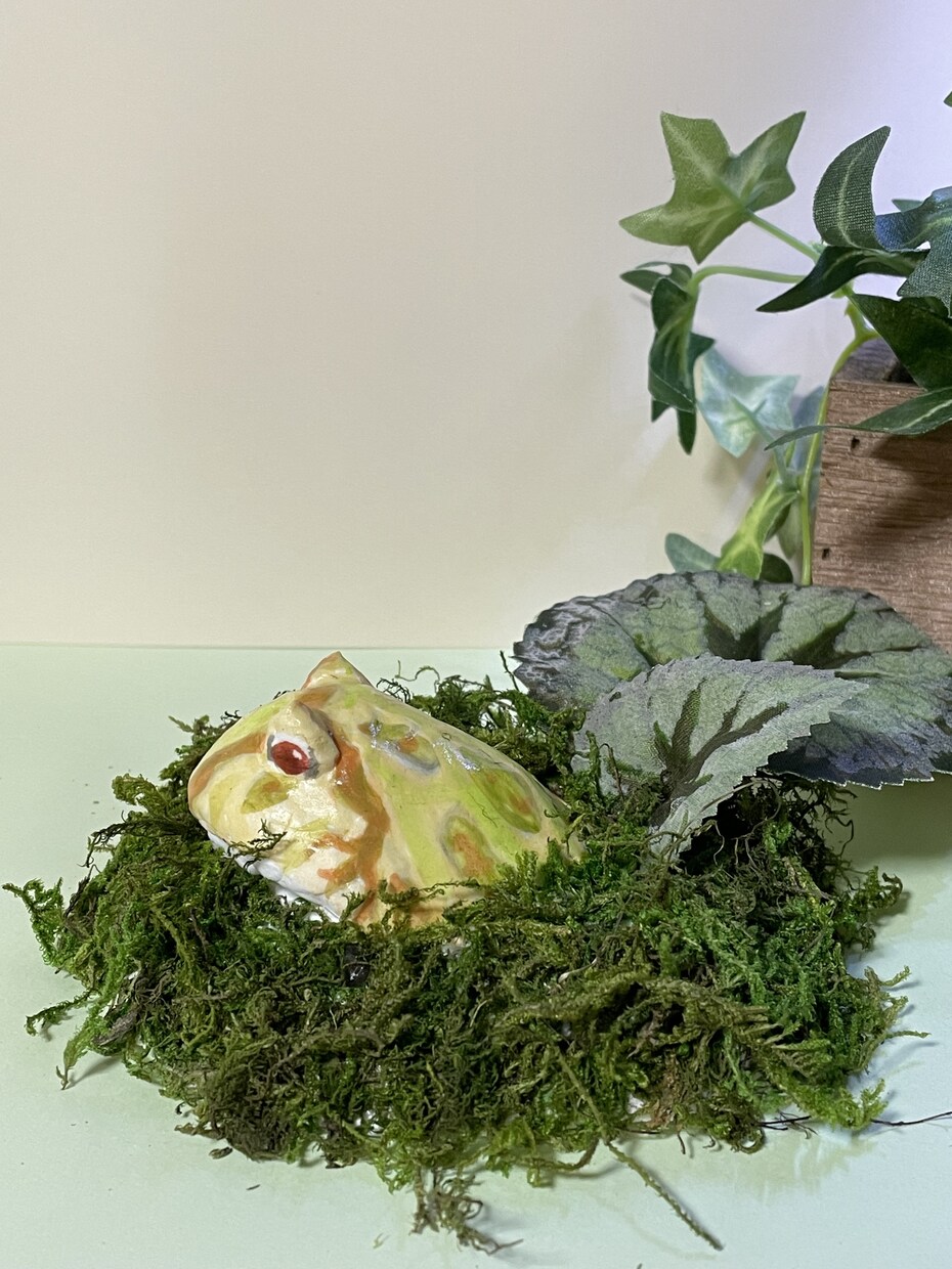 あなたのペット(カエル)のフィギュア作ります 思い出や癒しとしてあなたのカエルをフィギュアにします イメージ1