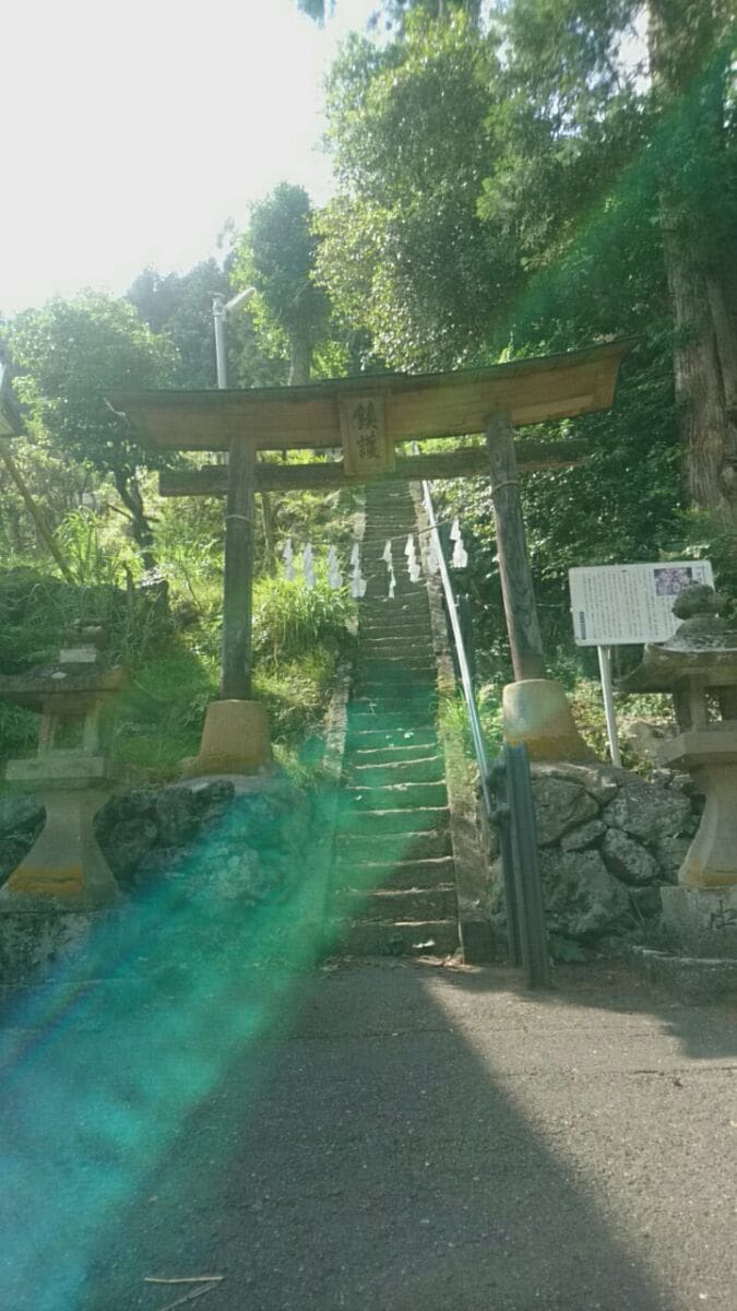 白山・水鏡霊視｜彼の気持ちを奥深くまで視ます 魂で読み解き、二人の未来と願いを叶えるご神託をお届けします イメージ8