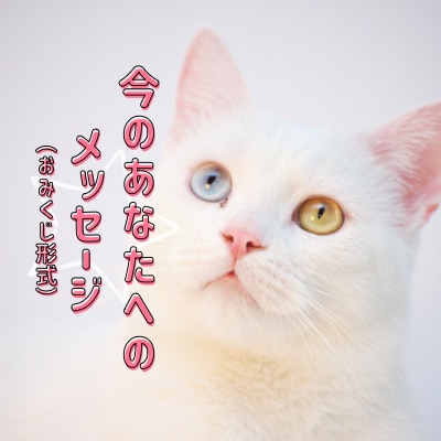 あなたへメッセージをおみくじ形式でお届けします お守りメッセージと６項目をおみくじ形式で。 イメージ1
