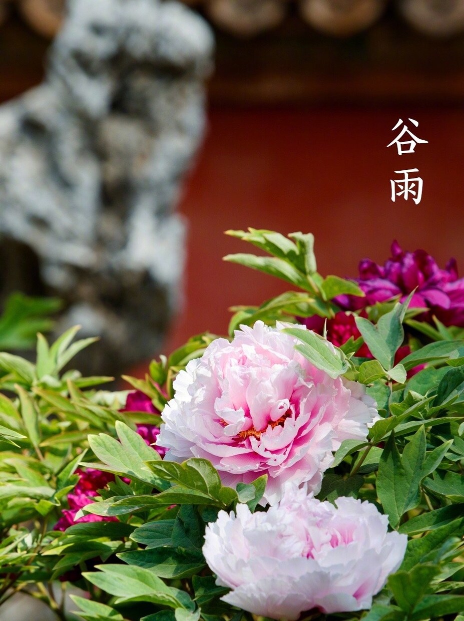 低値段+高品質✺中国語ネイティブ、日中翻訳します 中国語ネイティブ、日本六年住む、日本語⇔中国語翻訳実績多い イメージ1