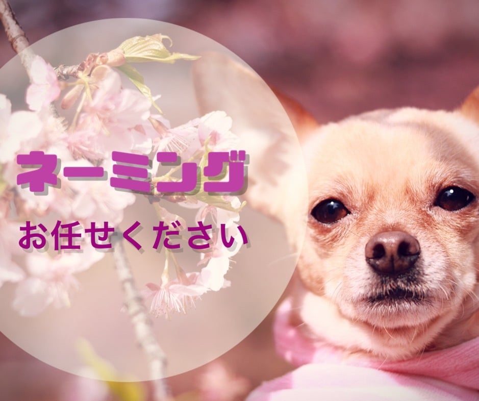 ネーミングを３点ご提案致します お店やサイトタイトルなどのお名前付けに困っている方用 イメージ1