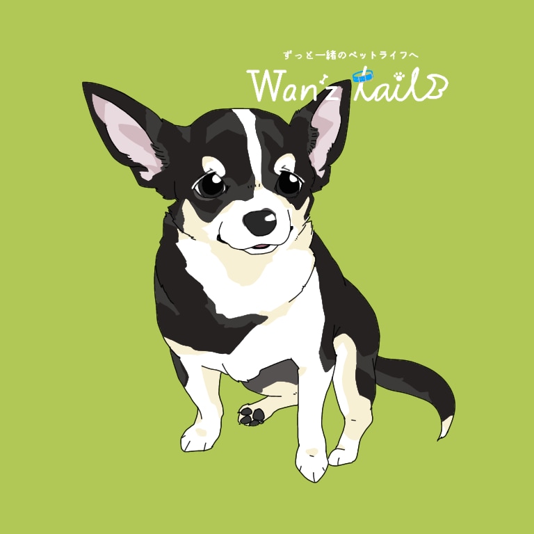 大切な愛犬を、描かせていただきます ~ずっと一緒のペットライフへ。そのお手伝いをします~ イメージ3