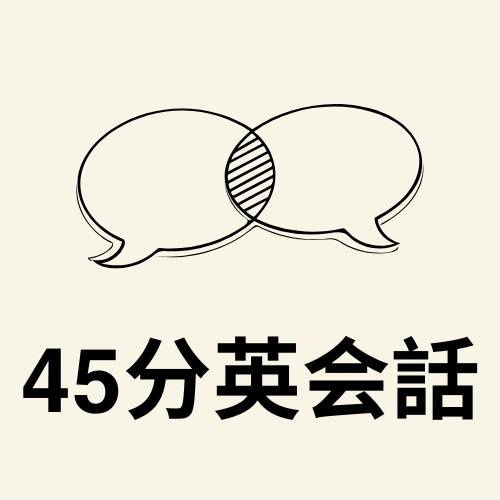 45分の英語レッスンをします 様々なニーズに応える45分間の英語レッスンを提供 イメージ1