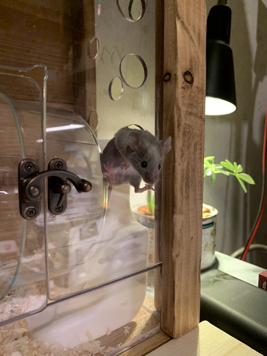 DIY オリジナル家具の作製します 手作り家具をお手頃な金額で承ります！ イメージ4