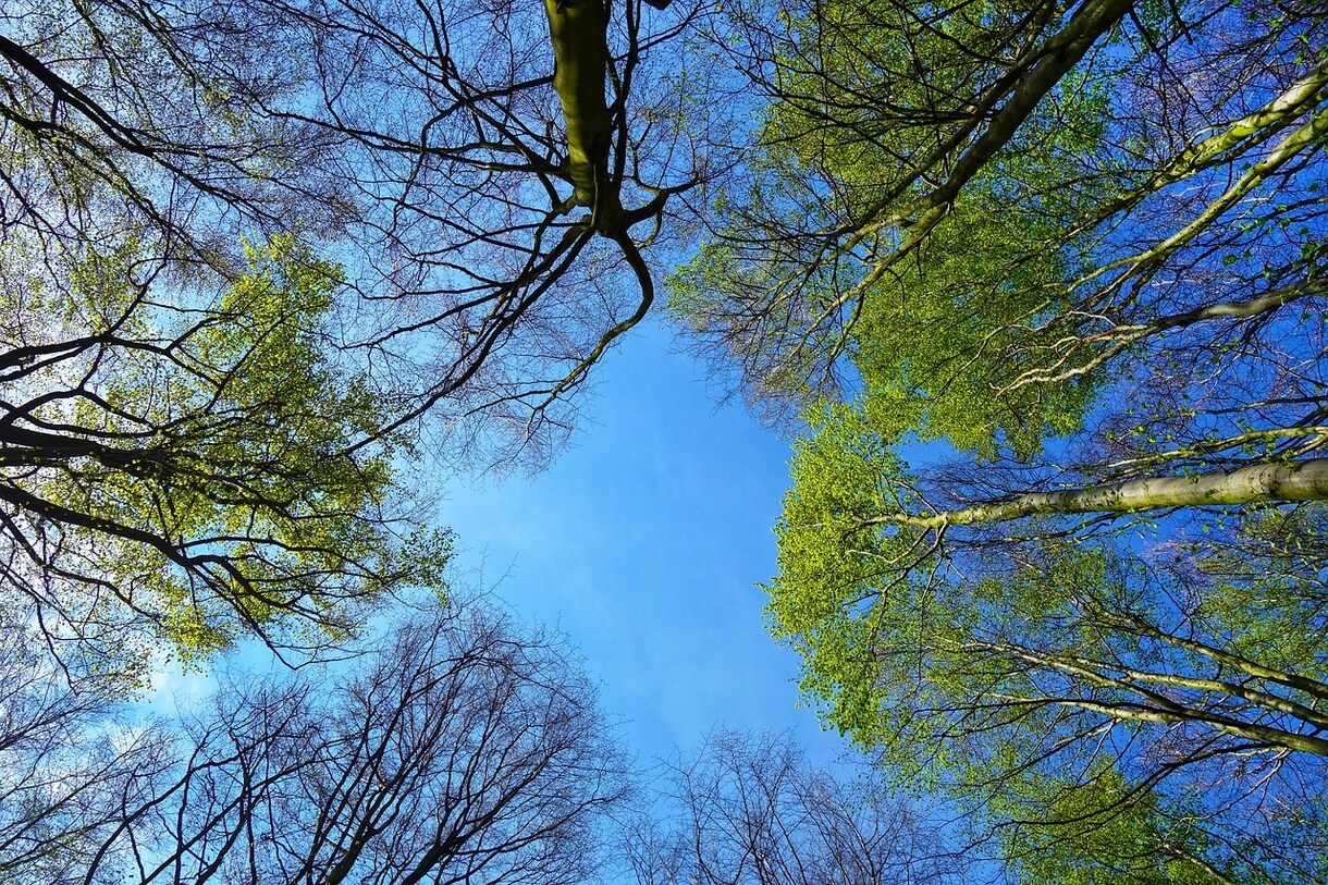 うつ症状・休職についてのご相談に乗ります 精神科で復職支援をしている看護師がお話を聞きます イメージ9