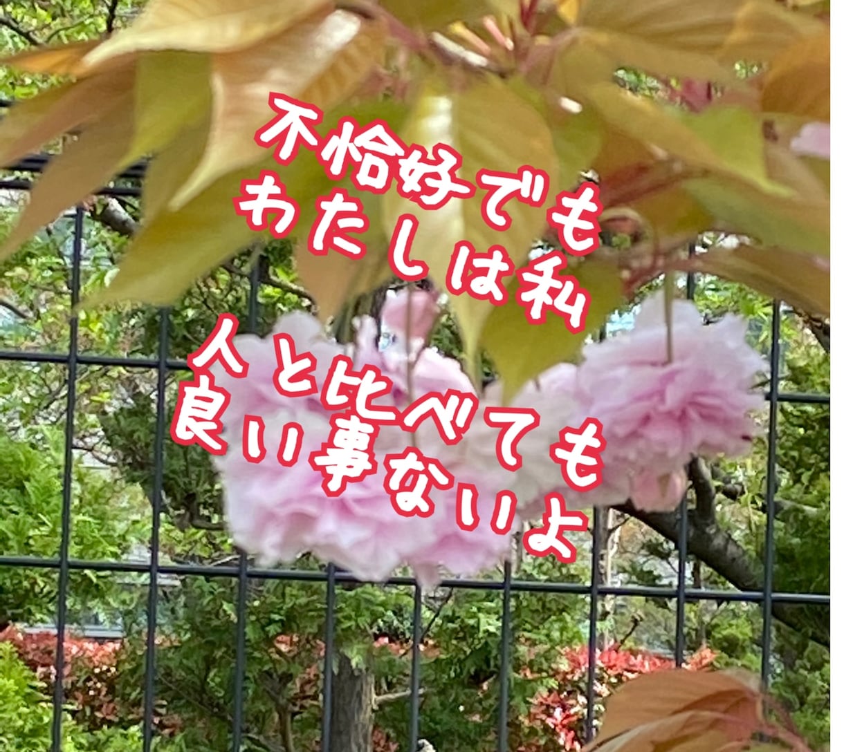 愚痴、お話し聞きます 心の底にあるモヤモヤ吐き出しませんか？ イメージ1