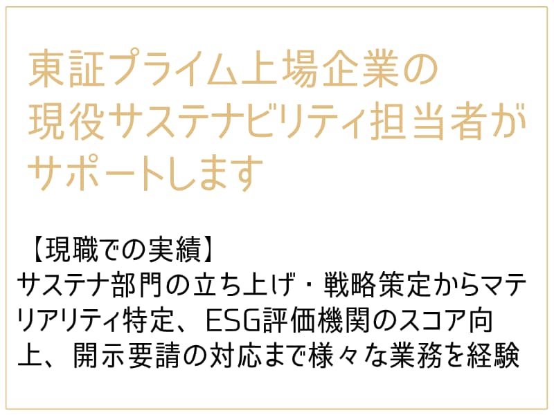 サステナビリティ/ESG関連の資料作成を代行します 現役サステナ担当者がポイントを押さえた資料作りをサポート イメージ3