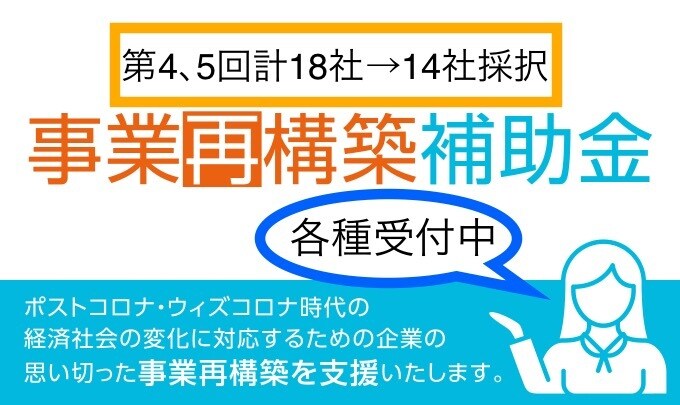 ３人体制で事業再構築補助金の事業計画書作成致します 審査官の経験を生かした事業計画を作成　第５回１０社→８社採択 イメージ1