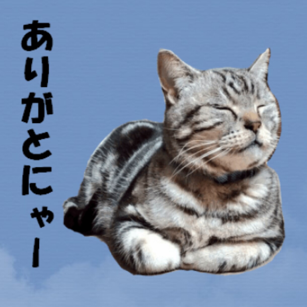 ペットのオリジナルLINEスタンプ製作いたします 可愛いペットのLINEスタンプが欲しいあなたへ イメージ1