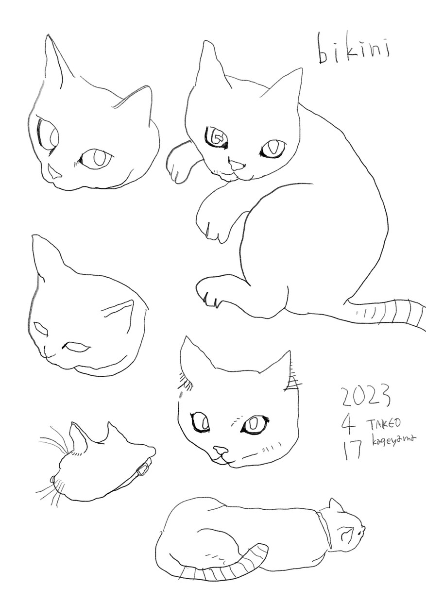 可愛くて面白いイラスト描きます ねこ、女の子、うさぎなどキャッチーなモチーフを描きます イメージ8