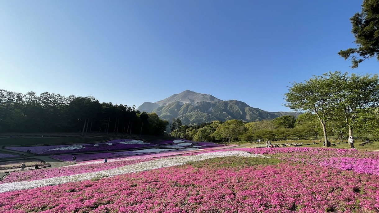 お二人の思い出を撮影します 旅行や観光山行などに同行し、写真撮影をいたします。 イメージ2